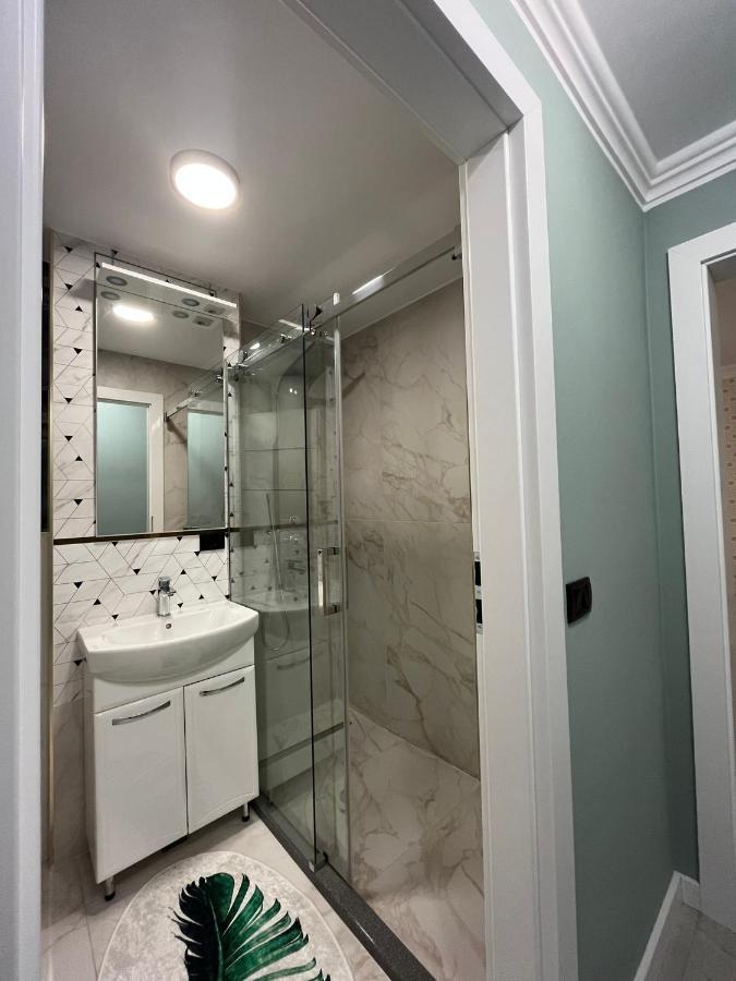 Ely Apartaments Borşa Dış mekan fotoğraf
